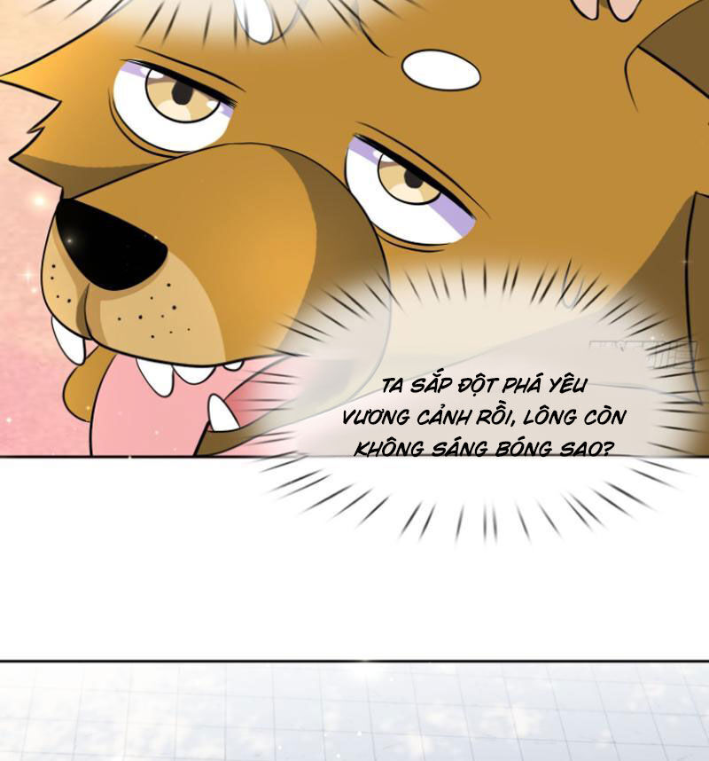 Thu Triệu Vạn Đồ Đệ, Vi Sư Vô Địch Thế Gian - Chapter 43 - Page 33