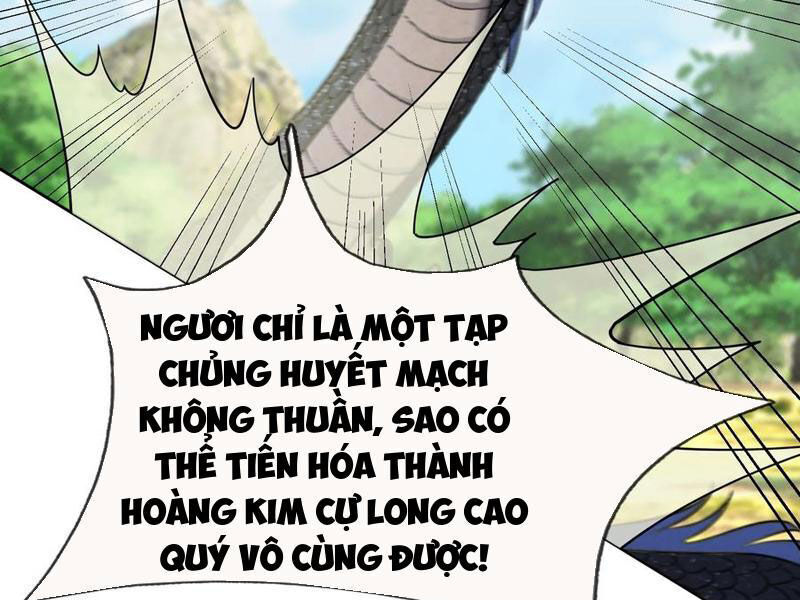 Thu Triệu Vạn Đồ Đệ, Vi Sư Vô Địch Thế Gian - Chapter 94 - Page 25
