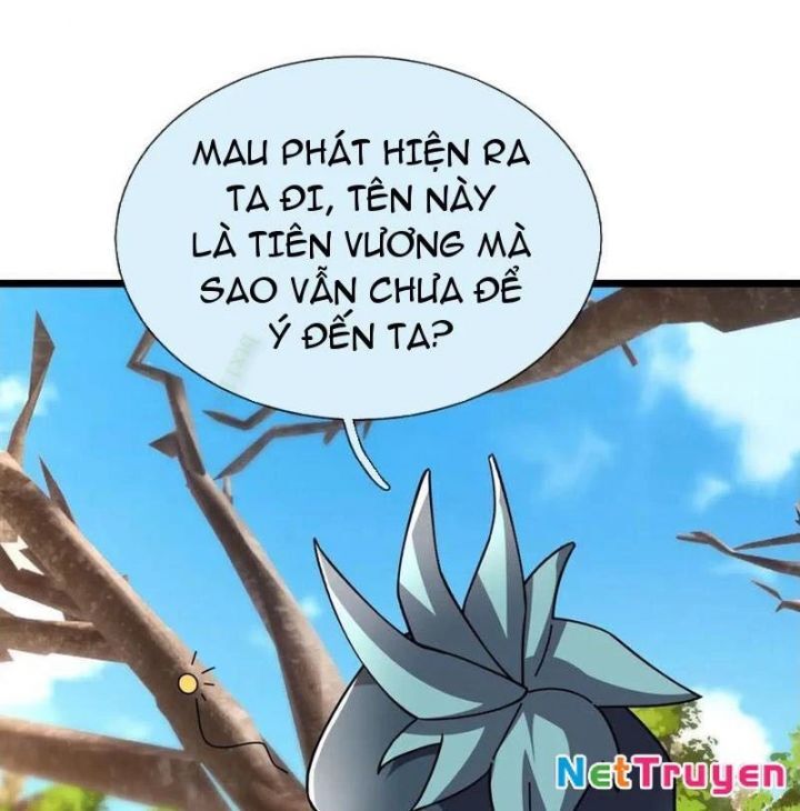 Ngủ Say Vạn Cổ: Xuất Thế Quét Ngang Chư Thiên - Chapter 99 - Page 37