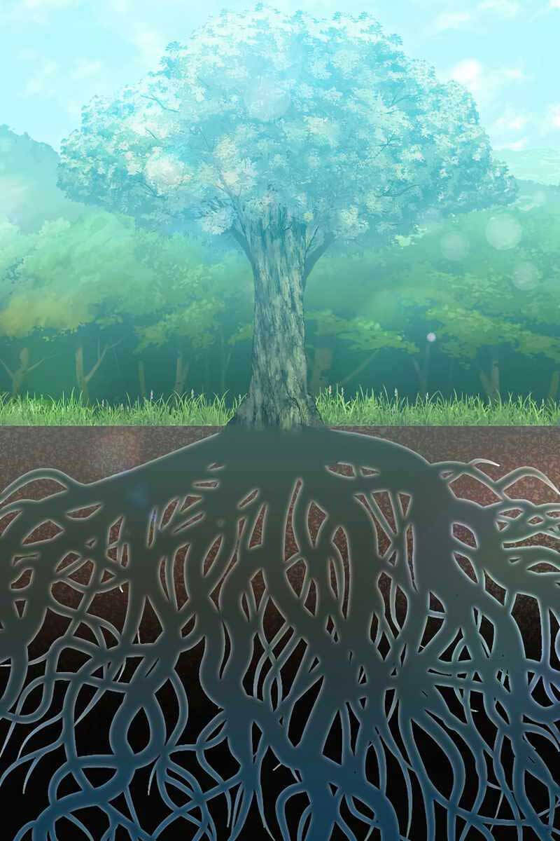 Tuyệt Đỉnh Võ Lâm - Chapter 41 - Page 24