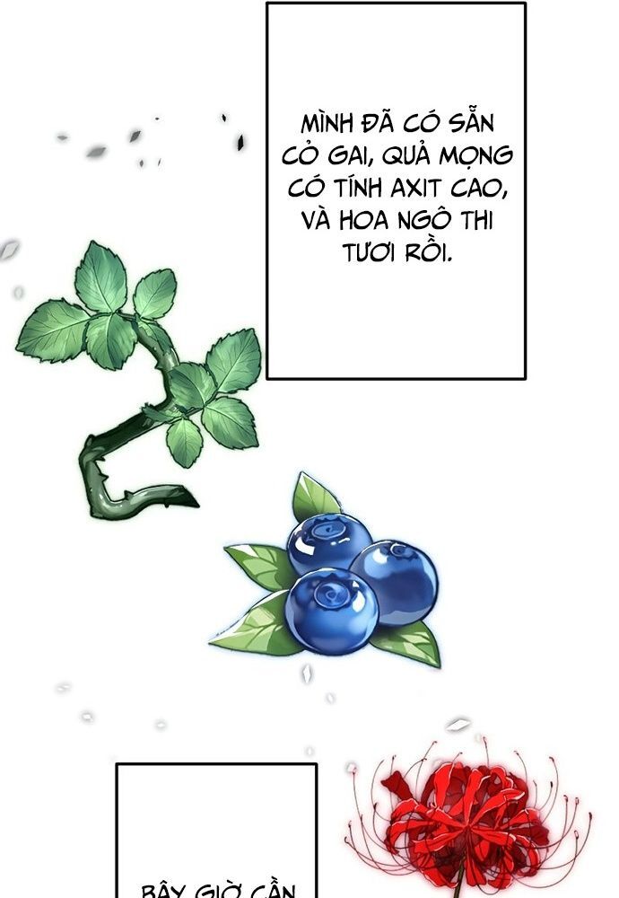 Vô Song Cùng Với Vũ Khí Ẩn - Chapter 5 - Page 25