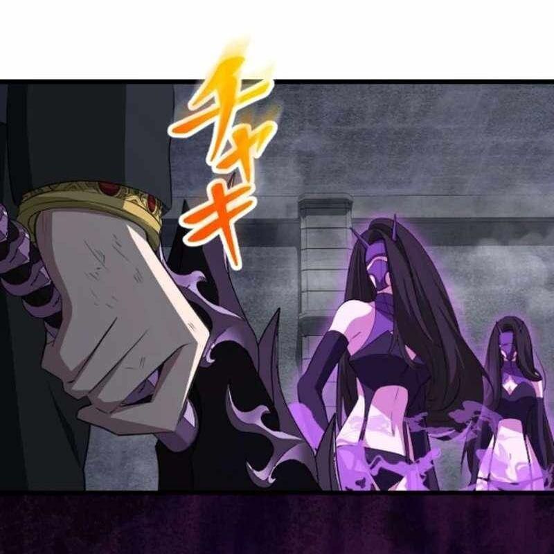 Vô Song Cùng Với Vũ Khí Ẩn - Chapter 53 - Page 221