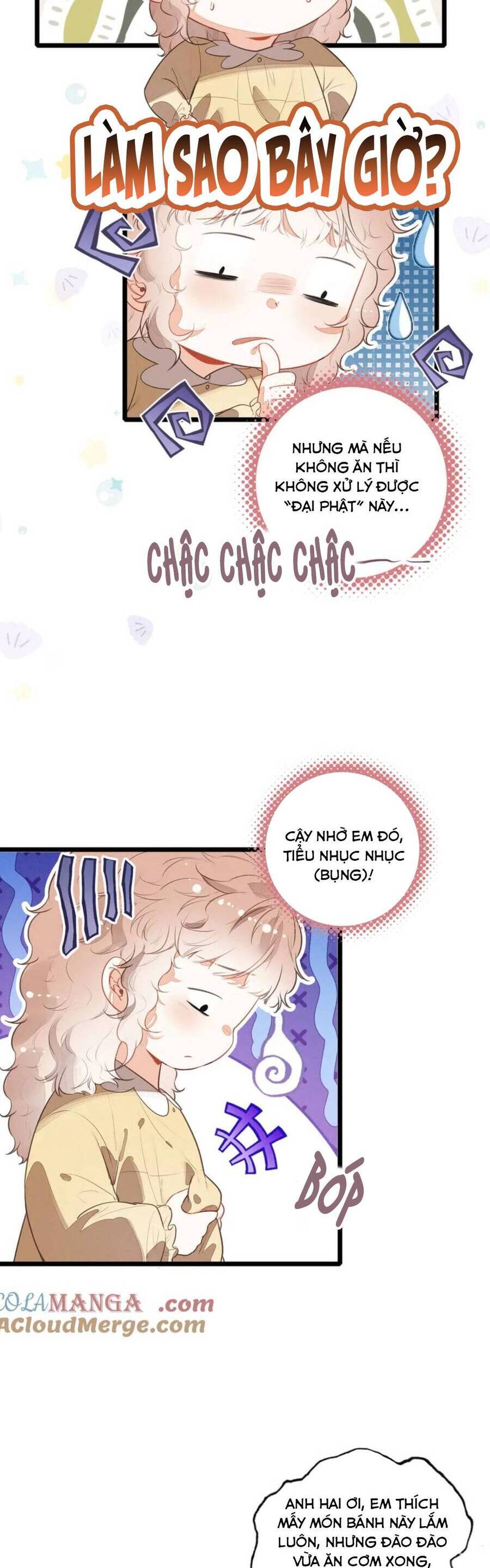 Sau Khi Xuyên Thành Tiểu Bảo Bảo , Cả Nhà Phản Diện Đều Muốn Giết Tôi! - Chapter 13 - Page 8