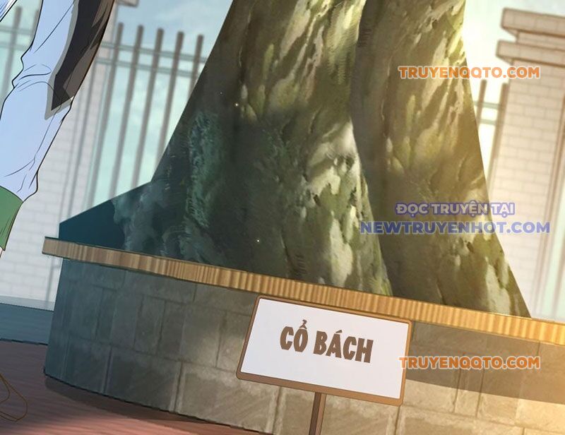 Ta Là Tiên Tôn Thiên Giới Bị Mất Trí Nhớ - Chapter 2 - Page 29