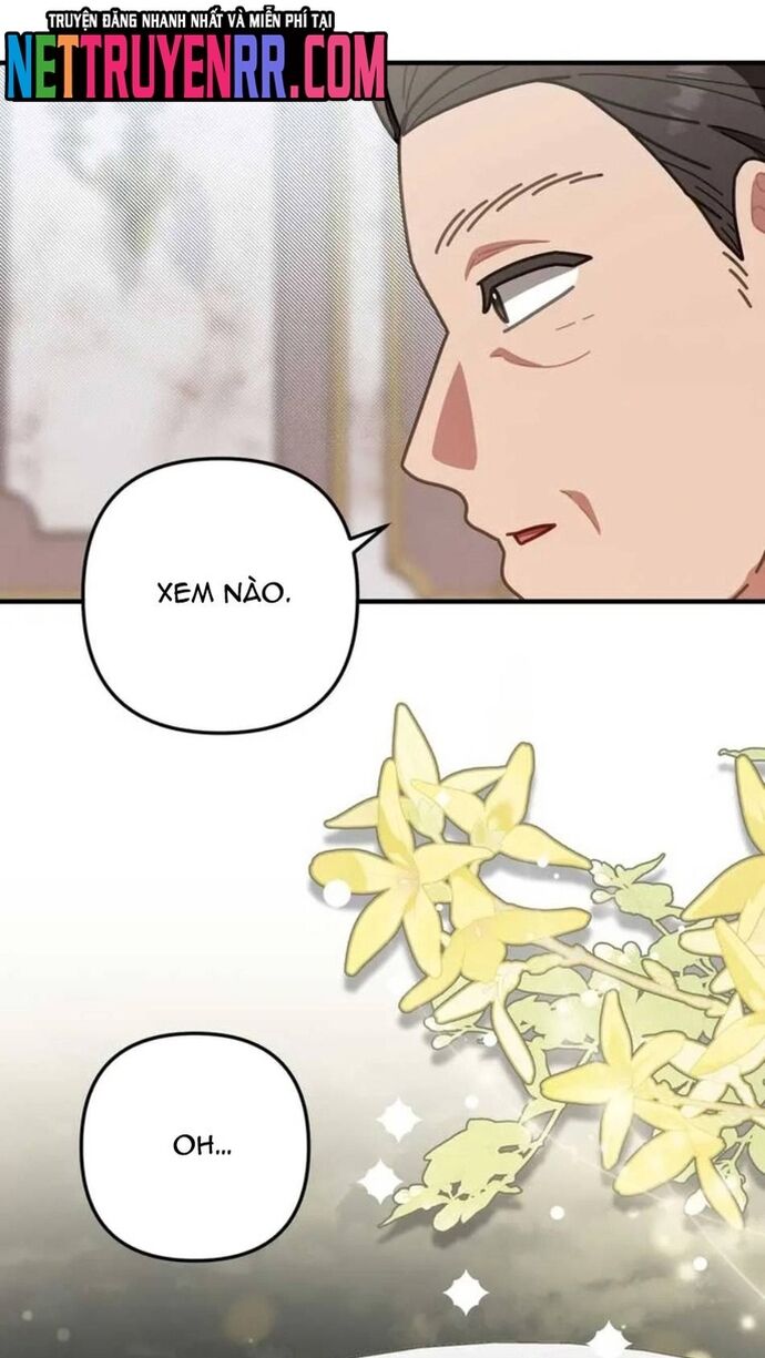 Đầu Bếp 100 Tuổi - Chapter 52 - Page 35