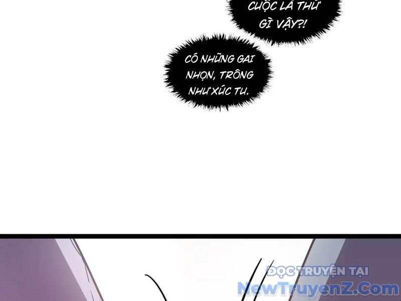 Hệ Thống Của Ta Thật Đứng Đắn - Chapter 60 - Page 8