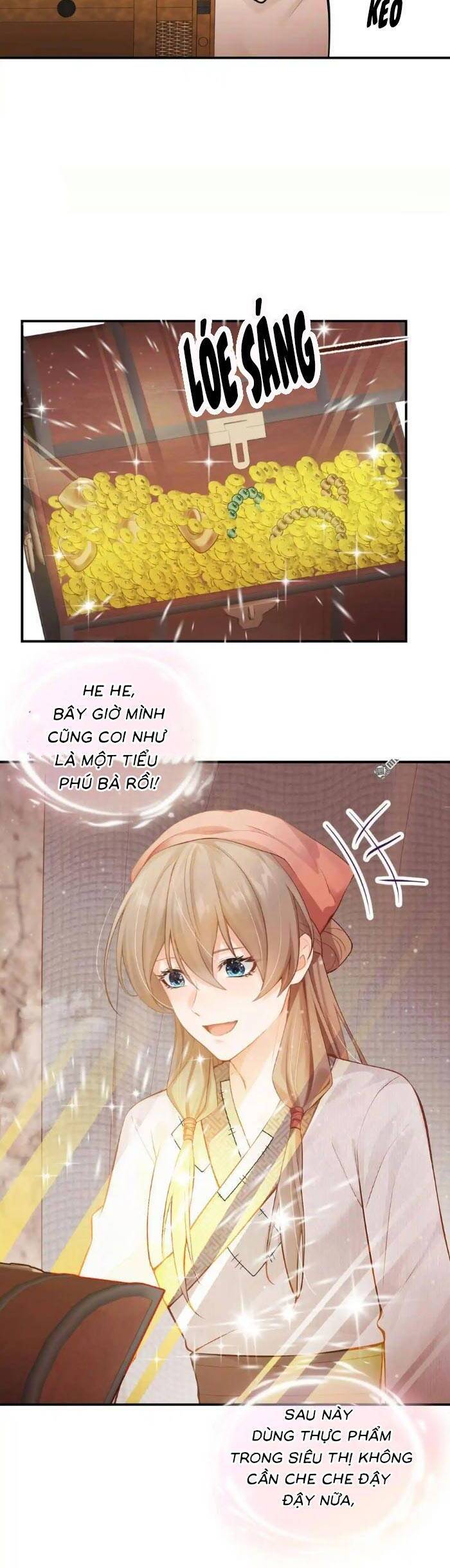 Mang Cả Siêu Thị Xuyên Không Về Nuôi Thừa Tướng - Chapter 32 - Page 17