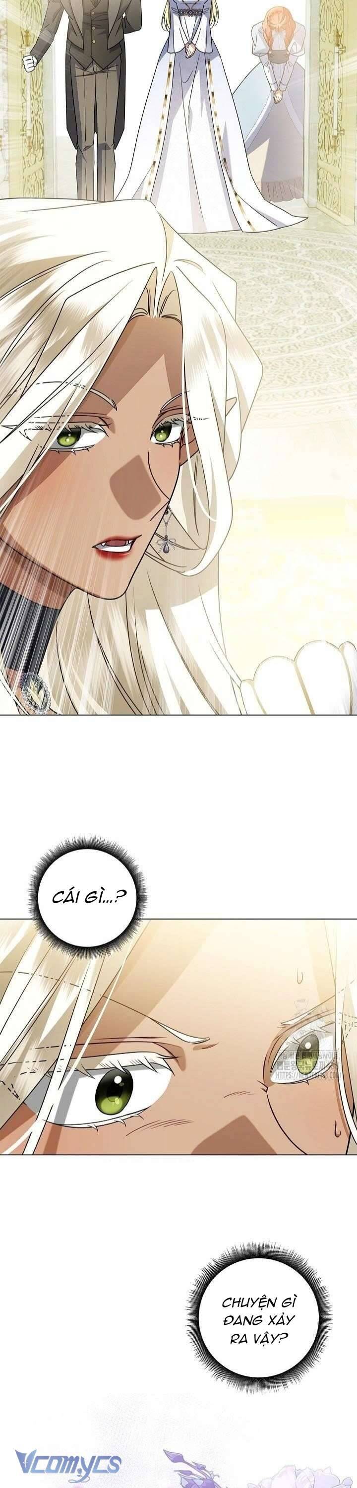 Xin Lỗi Vì Tôi Không Thể Rời Mắt Khỏi Vẻ Ngoài Của Ngài - Chapter 27 - Page 27