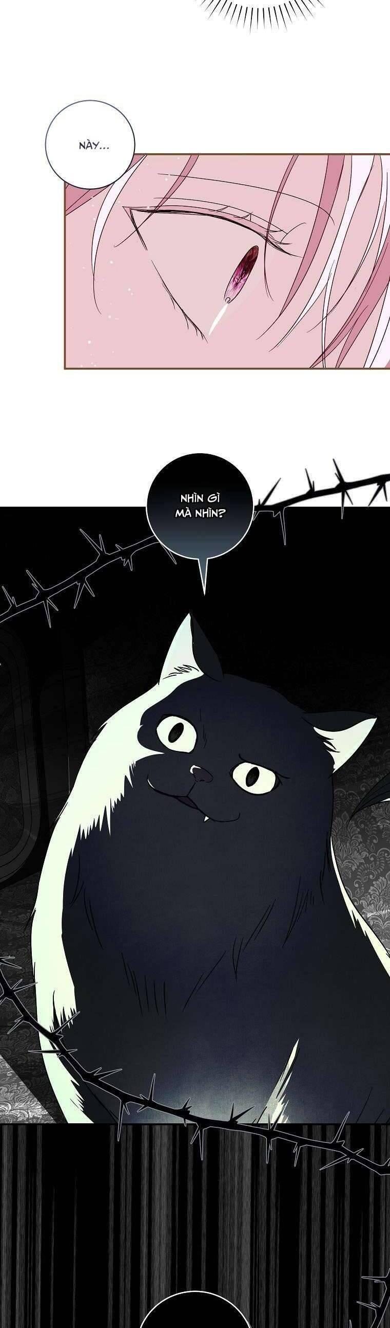 Phản Diện À, Tôi Sẽ Làm Mọi Thứ Cho Anh Trừ Kết Hôn Nhé! Chapter 9 - Trang 41