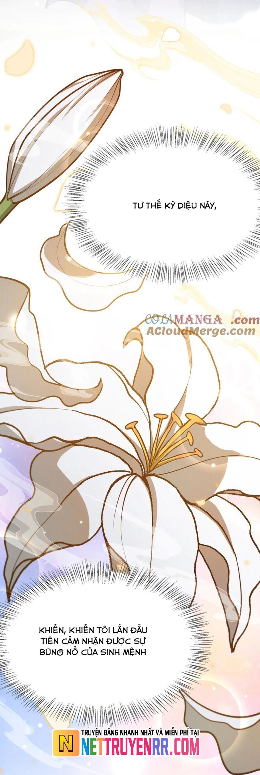 Ta Bị Kẹt Cùng Một Ngày 1000 Năm - Chapter 193 - Page 14