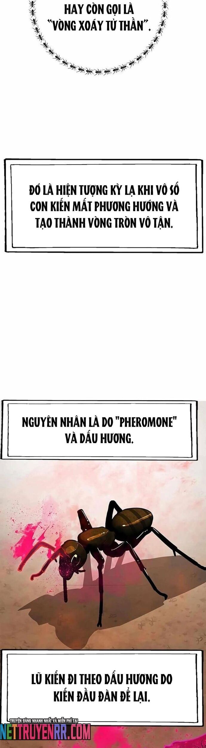 Tôi Chỉ Là Người Khuân Vác Trong Hầm Ngục - Chapter 22 - Page 20