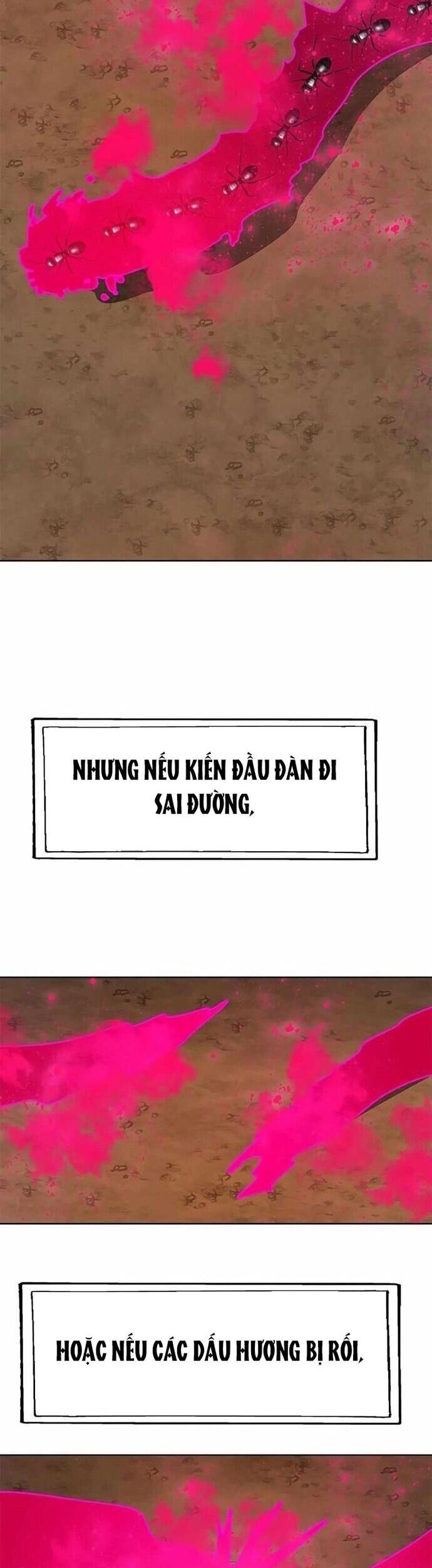 Tôi Chỉ Là Người Khuân Vác Trong Hầm Ngục - Chapter 22 - Page 21