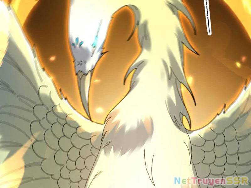 Bắt Đầu Chấn Kinh Nữ Đế Lão Bà, Ta Vô Địch! - Chapter 14 - Page 49