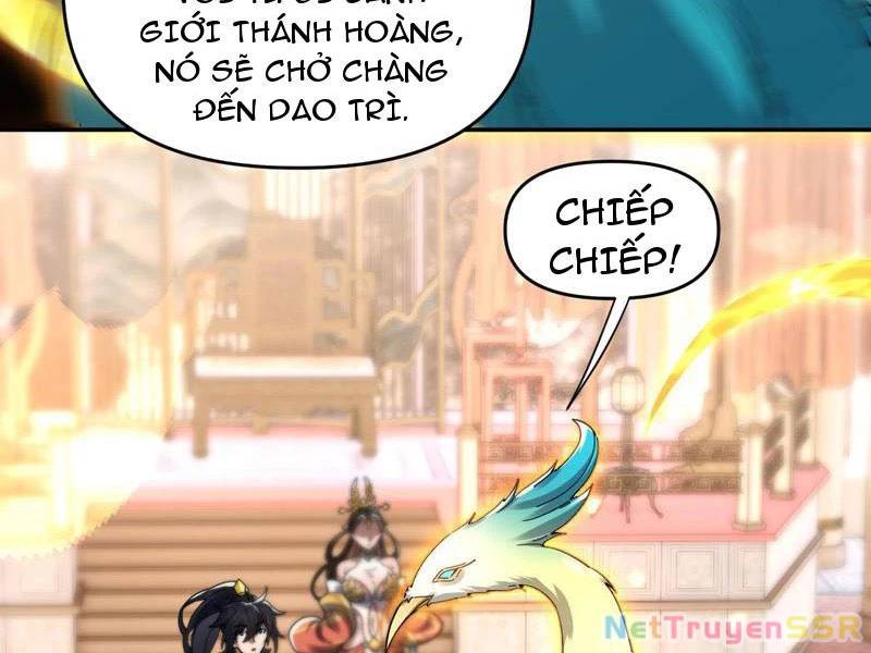 Bắt Đầu Chấn Kinh Nữ Đế Lão Bà, Ta Vô Địch! - Chapter 14 - Page 52