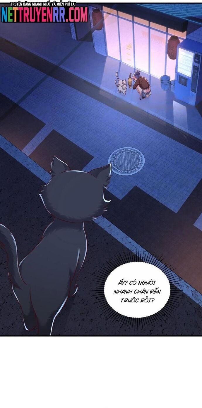 Học Cùng Em Gái, Không Cẩn Thận Trở Thành Vô Địch - Chapter 97 - Page 10