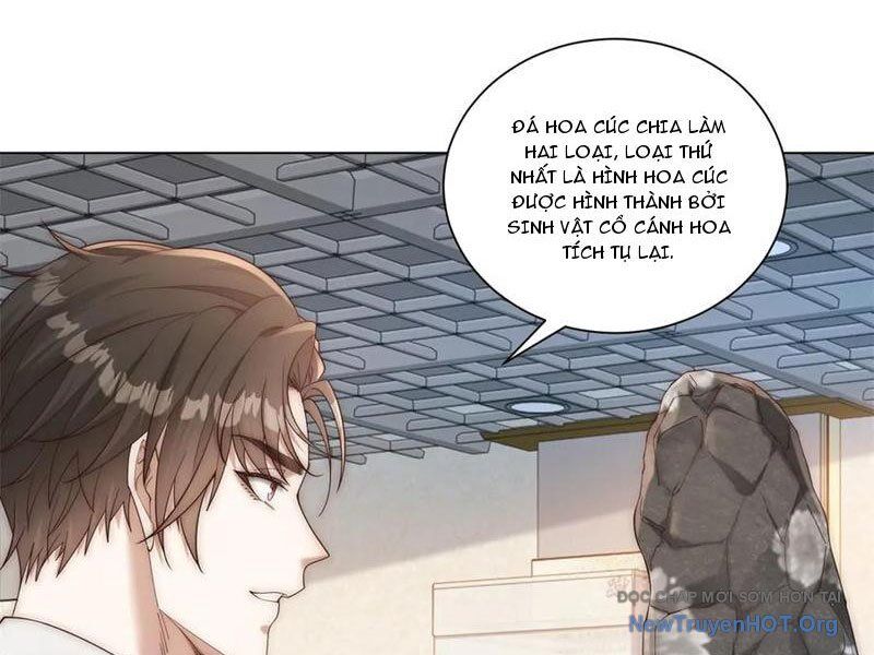 Trở Thành Vô Địch Bằng Hệ Thống Giảm Giá Trị - Chapter 39 - Page 25