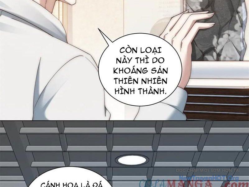 Trở Thành Vô Địch Bằng Hệ Thống Giảm Giá Trị - Chapter 39 - Page 26