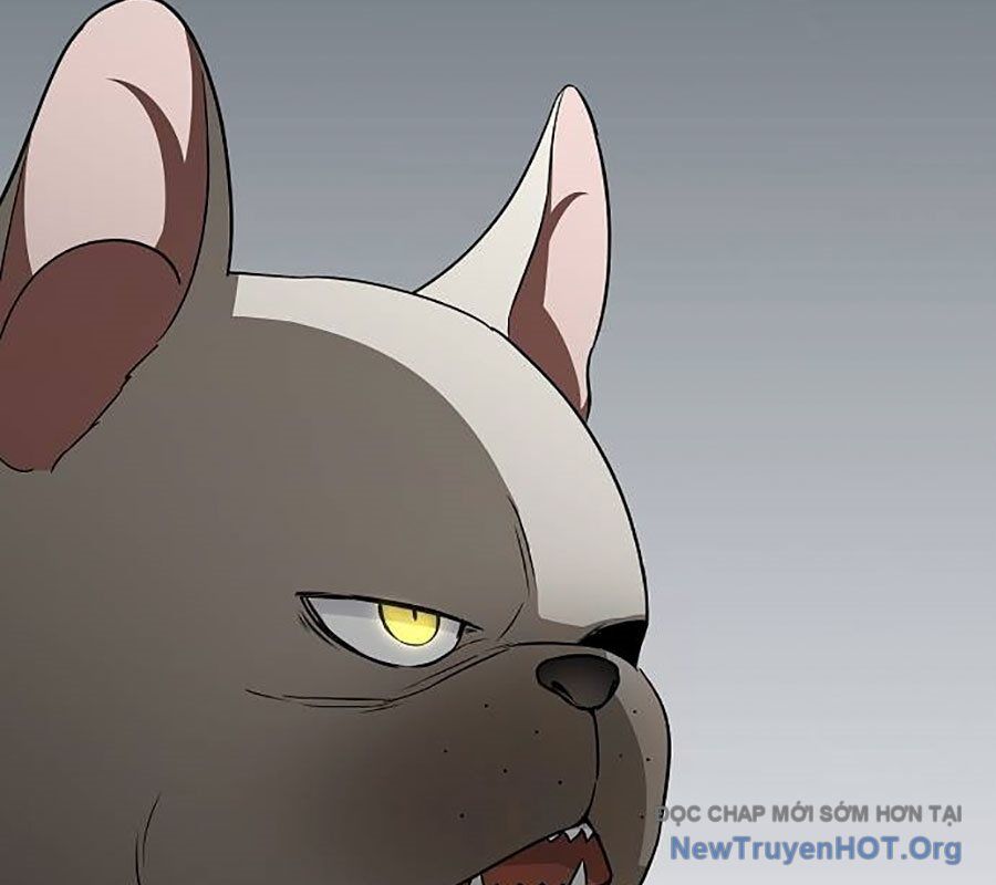 Kiếm Vương - Chapter 55 - Page 177