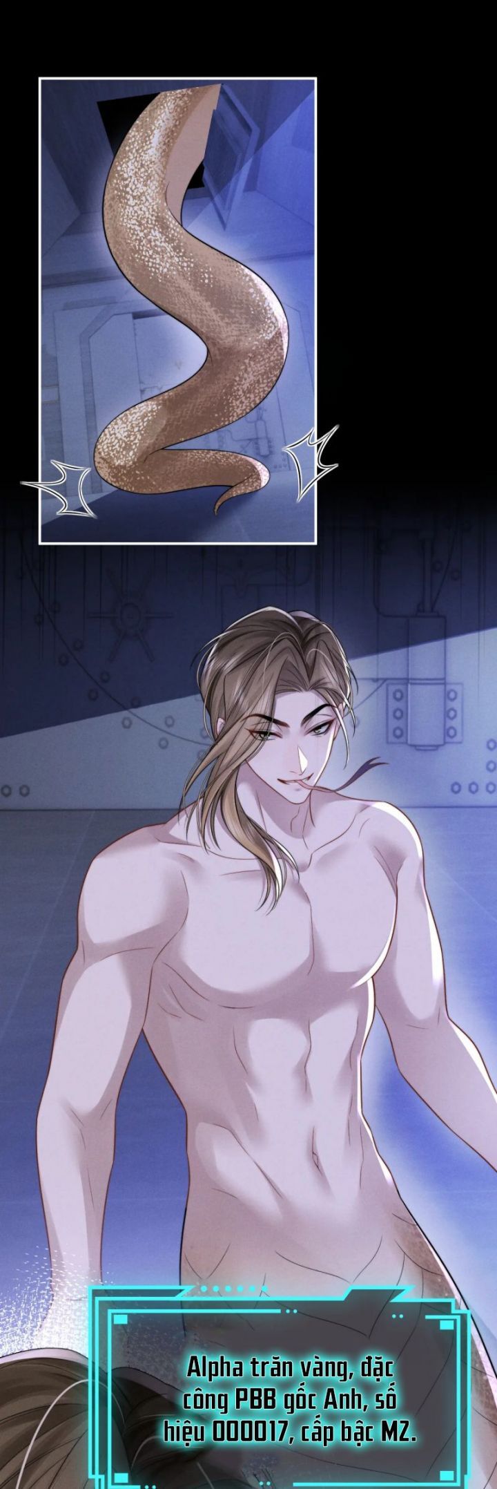 Chấp Sự Thỏ Cụp Tai - Chapter 165 - Page 13