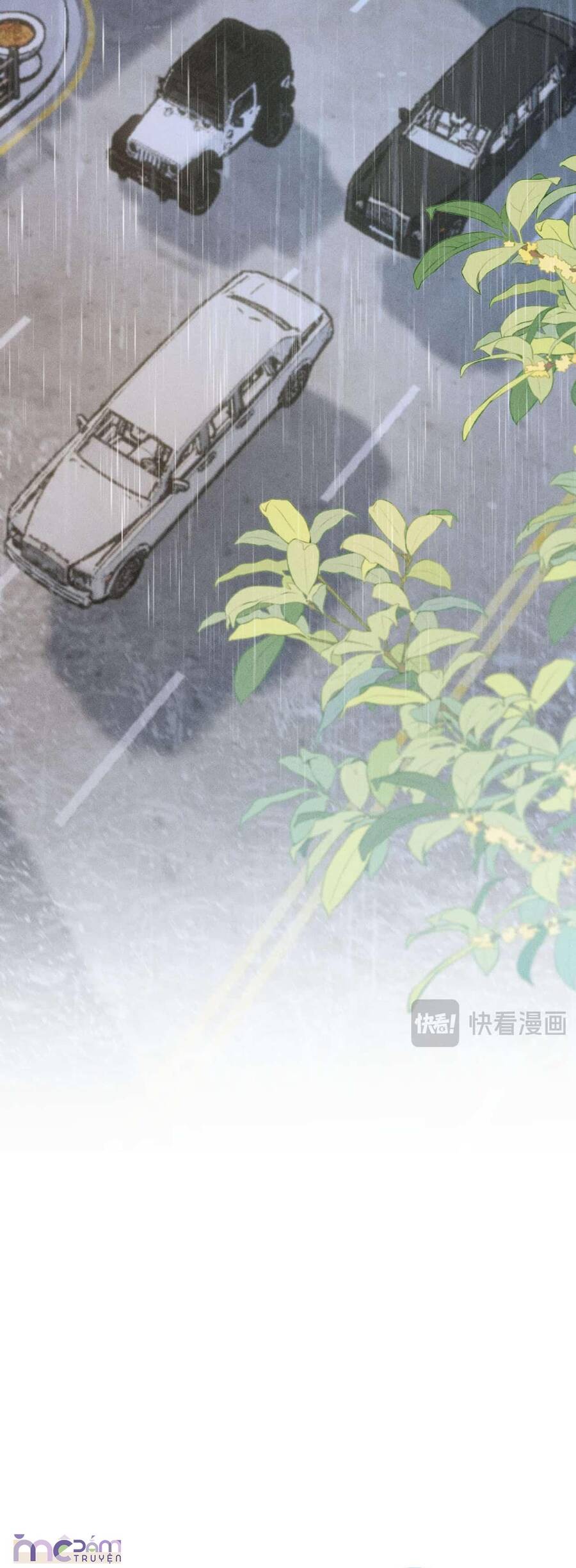 Siêu Cấp Cưng Chiều - Chapter 16 - Page 14