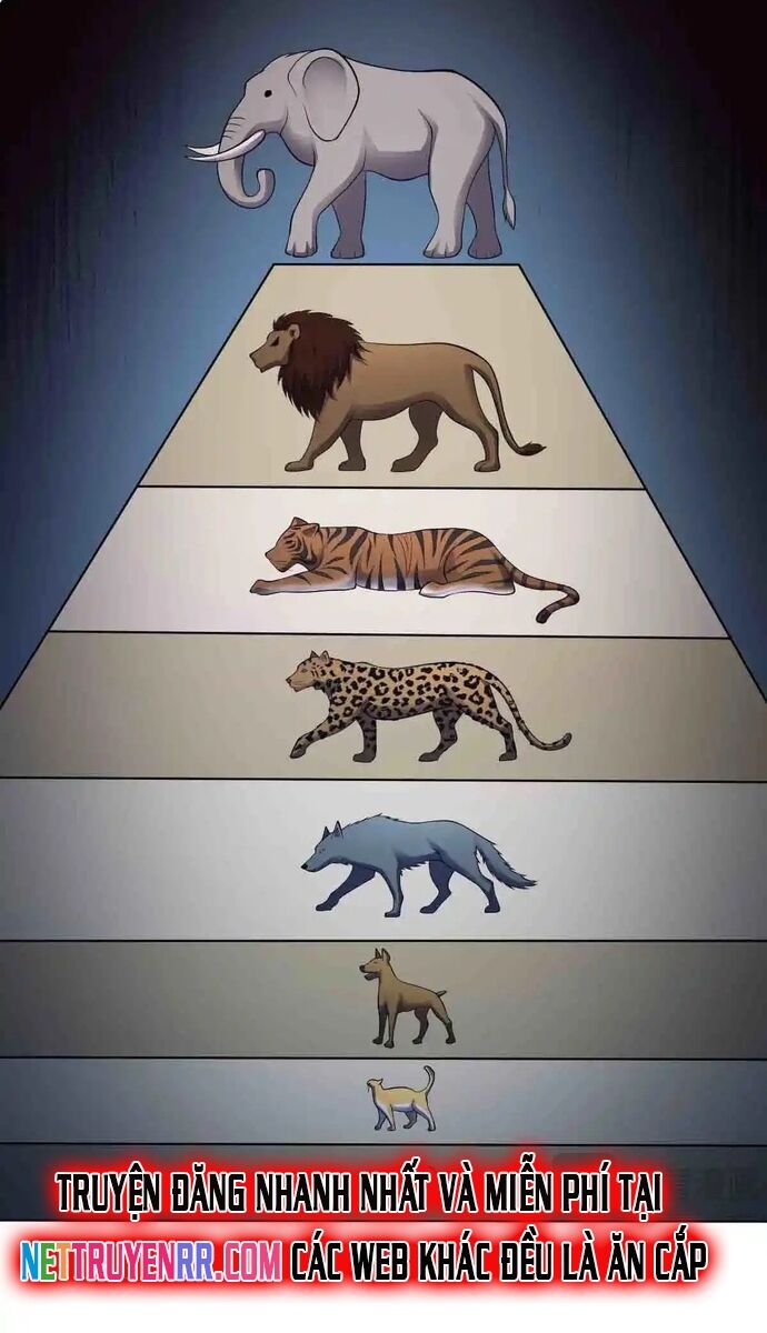 Vô hạn hồ sơ - Chapter 86 - Page 38