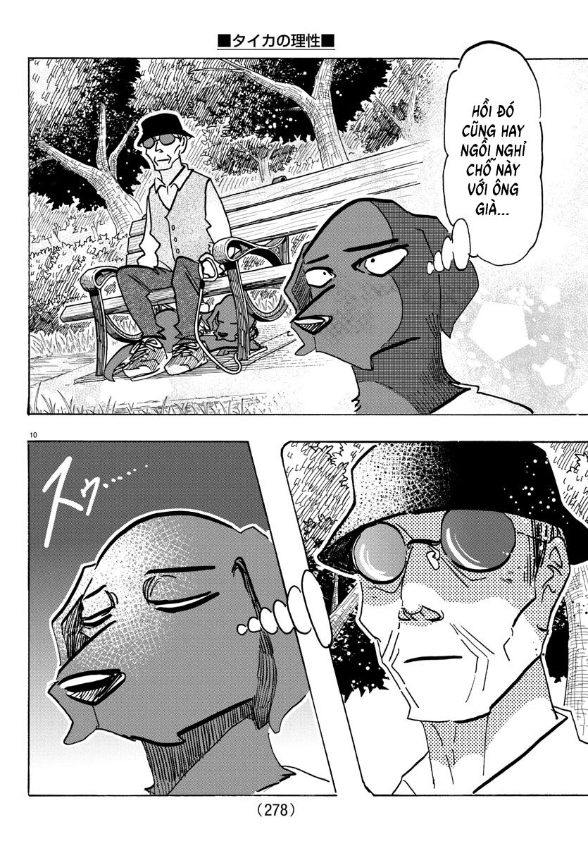 Lý Trí Của Taika - Chapter 21 - Page 9