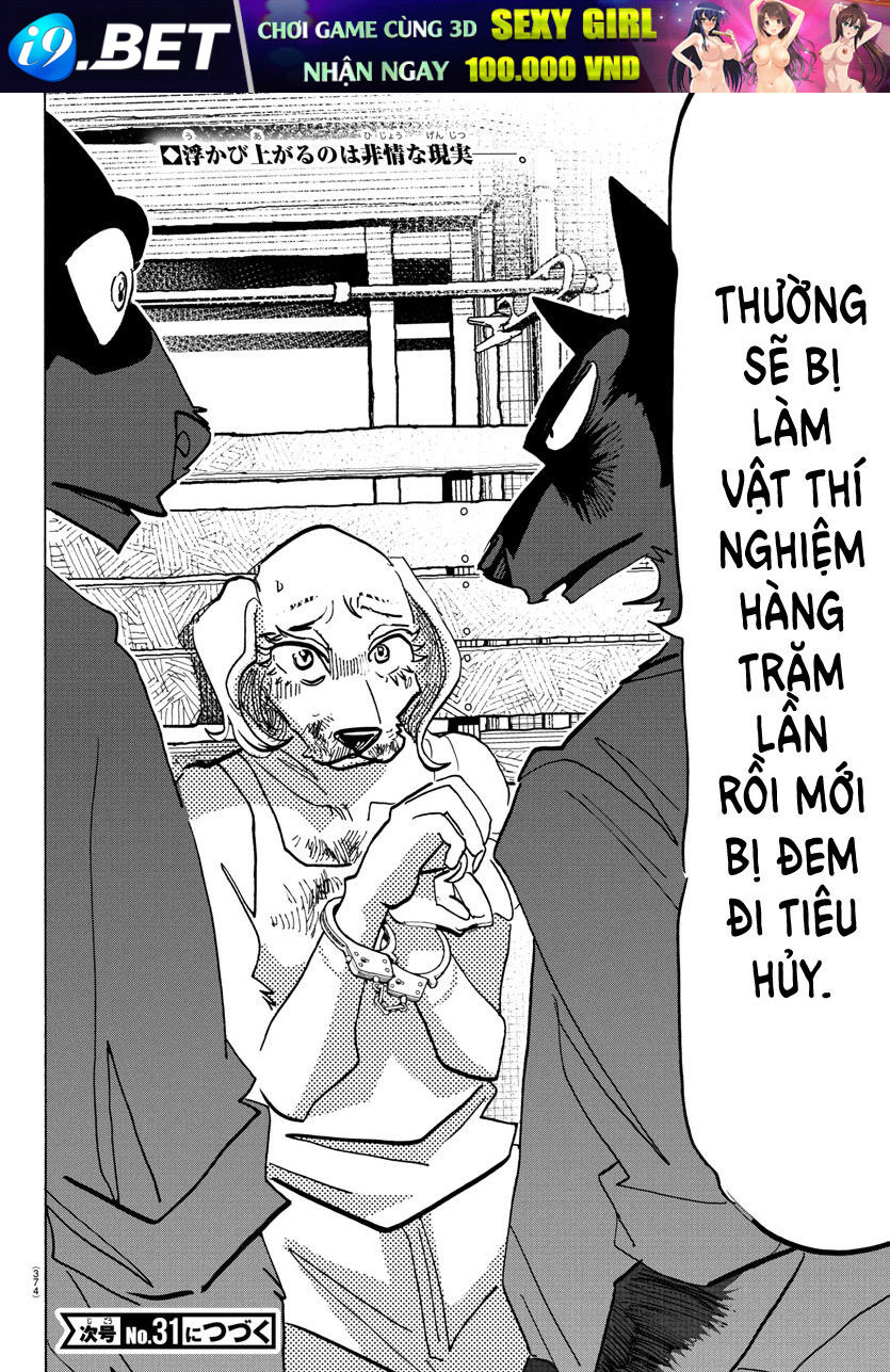 Lý Trí Của Taika - Chapter 23 - Page 17