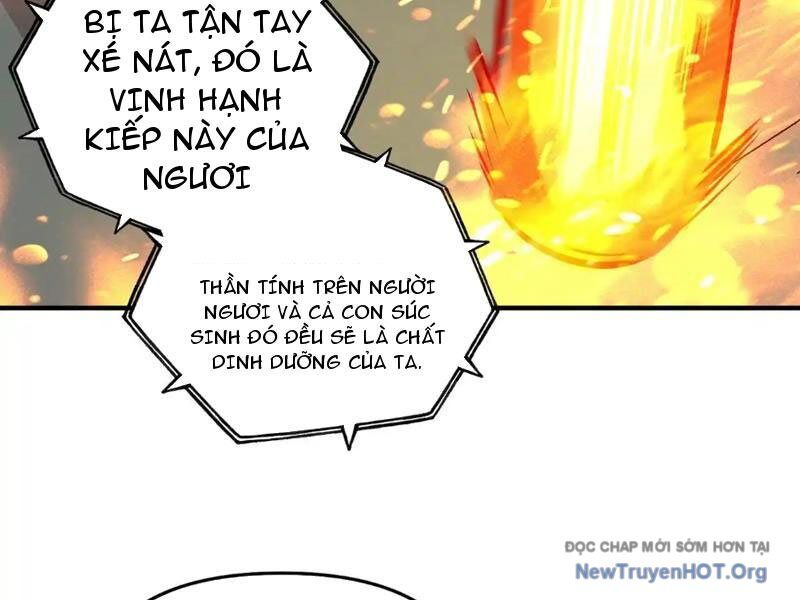Bắt Đầu Chuyển Chức Tài Thần, Ta Chuyển Hóa Triệu Vạn Thần Sủng - Chapter 30 - Page 3
