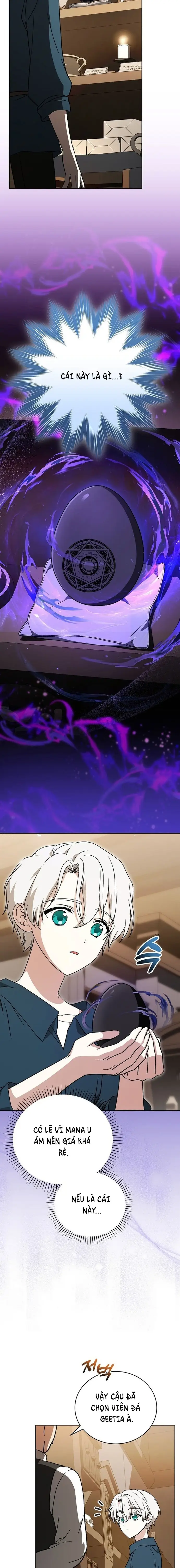 Pháp Sư Thiên Tài Thấu Triệt Khái Niệm - Chapter 13 - Page 15