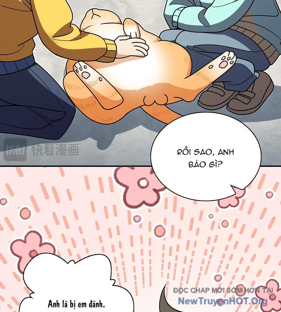 Bà Xã Nhà Tôi Đến Từ Ngàn Năm Trước - Chapter 391 - Page 34