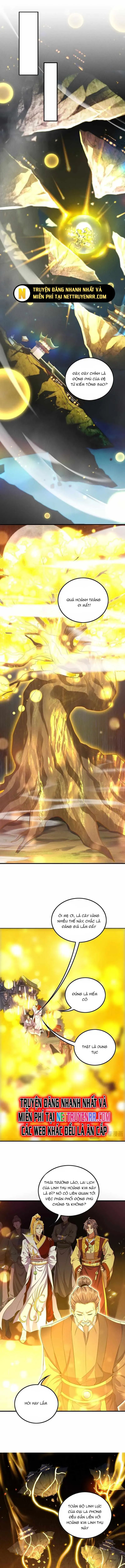 Các Nữ Sư Tôn Đều Muốn Chiếm Hữu Ta - Chapter 8 - Page 4