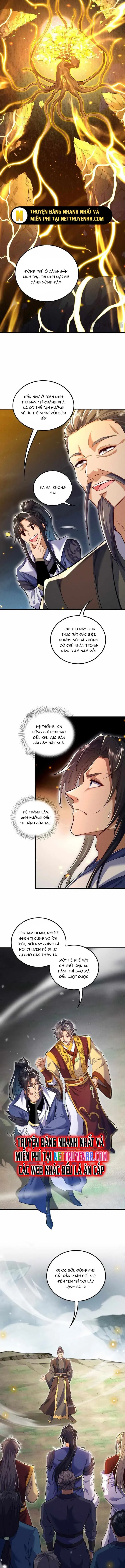 Các Nữ Sư Tôn Đều Muốn Chiếm Hữu Ta - Chapter 8 - Page 5
