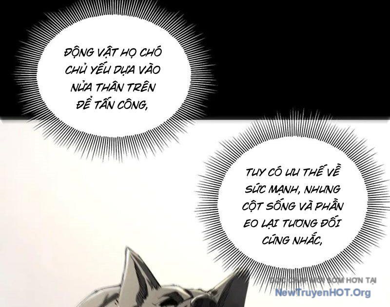 Ta Thăng Cấp Cùng Tai Ách - Chapter 44 - Page 74