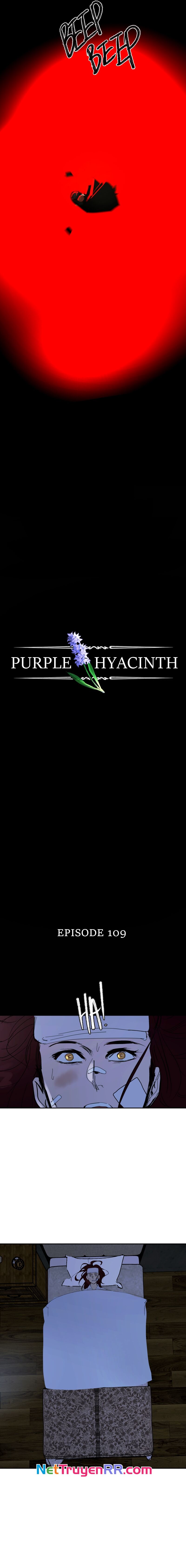 Hoa Lục Bình Tím - Chapter 109 - Page 3