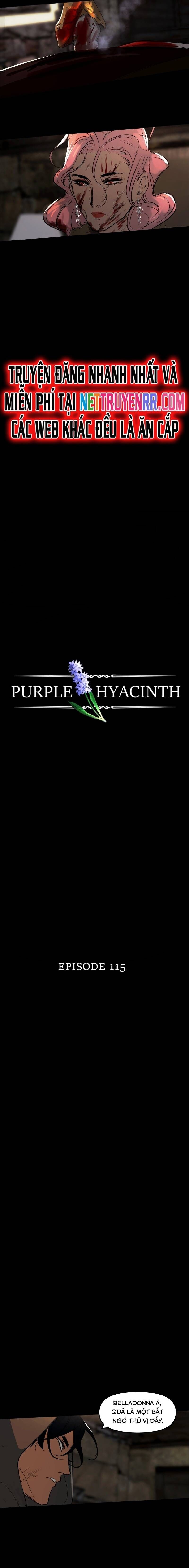 Hoa Lục Bình Tím - Chapter 115 - Page 6