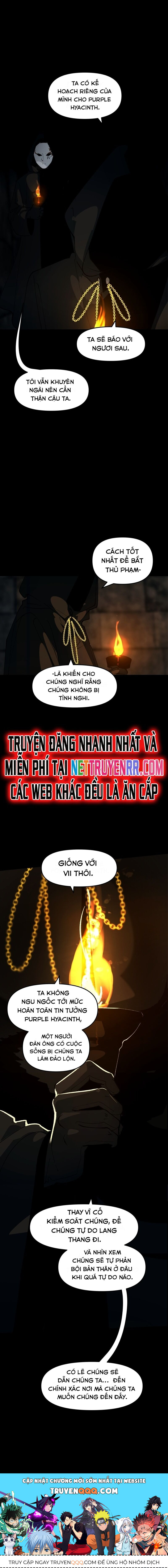 Hoa Lục Bình Tím - Chapter 117.3 - Page 5