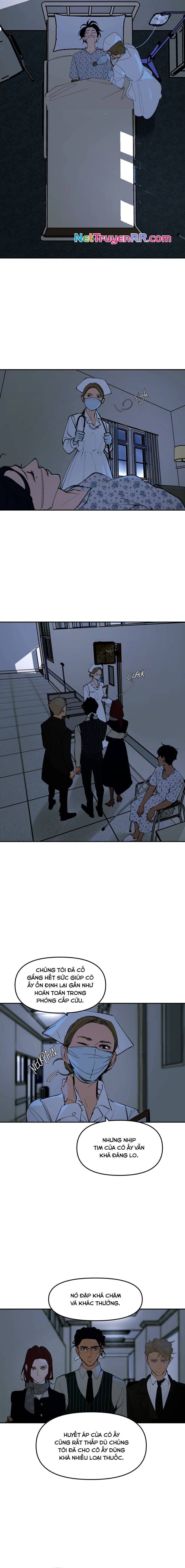 Hoa Lục Bình Tím - Chapter 134 - Page 3