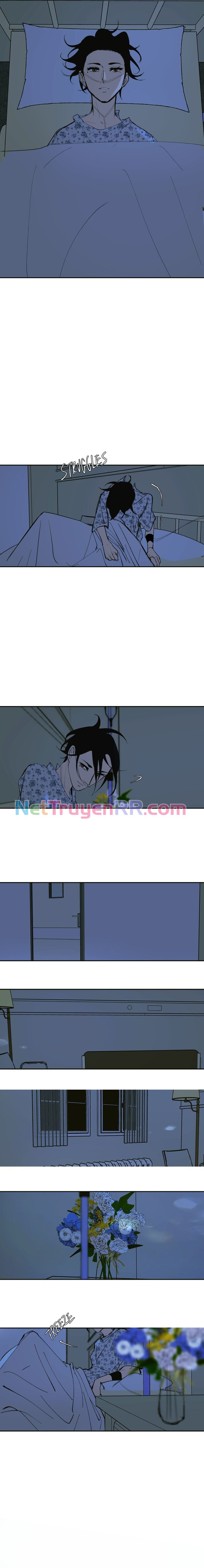 Hoa Lục Bình Tím - Chapter 139.1 - Page 3