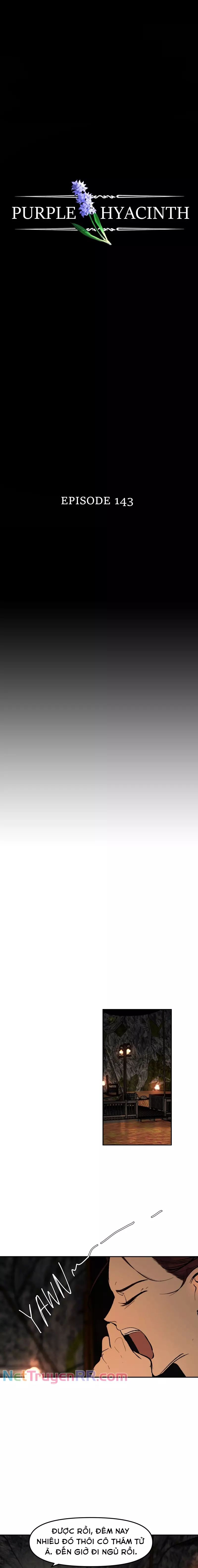 Hoa Lục Bình Tím - Chapter 143 - Page 4