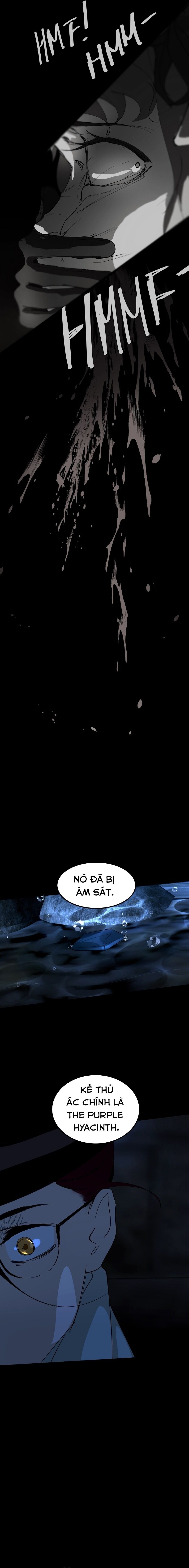 Hoa Lục Bình Tím - Chapter 90.1 - Page 3