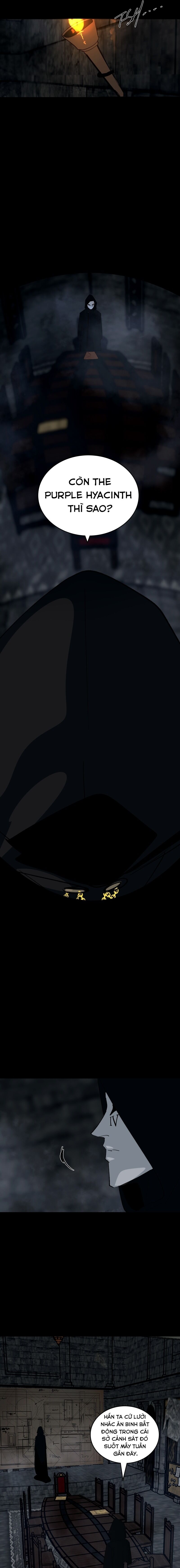 Hoa Lục Bình Tím - Chapter 91 - Page 3