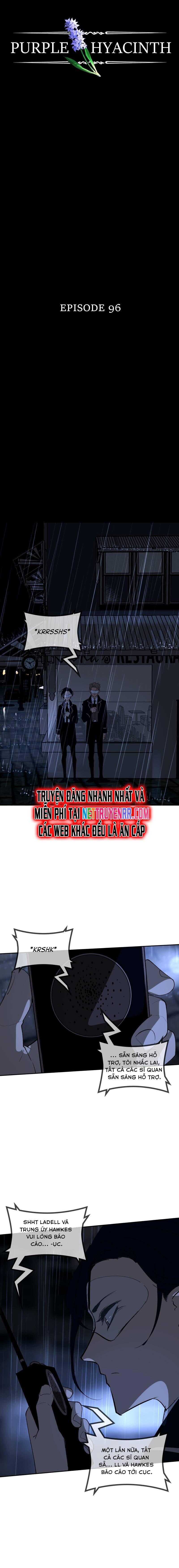 Hoa Lục Bình Tím - Chapter 96 - Page 5