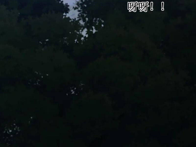 Võng Du: Ta Có Thể Tiến Hóa Tất Cả - Chapter 13 - Page 70