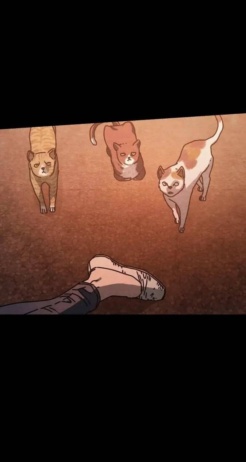 D-Day: Hầm Trú Ẩn - Chapter 12 - Page 95