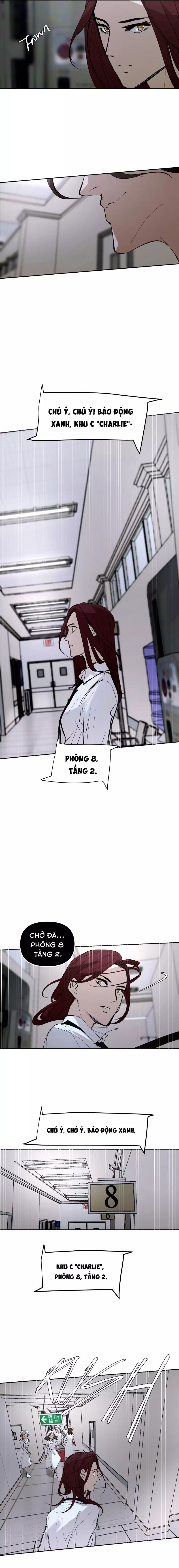 Hoa Lục Bình Tím - Chapter 145.4 - Page 4