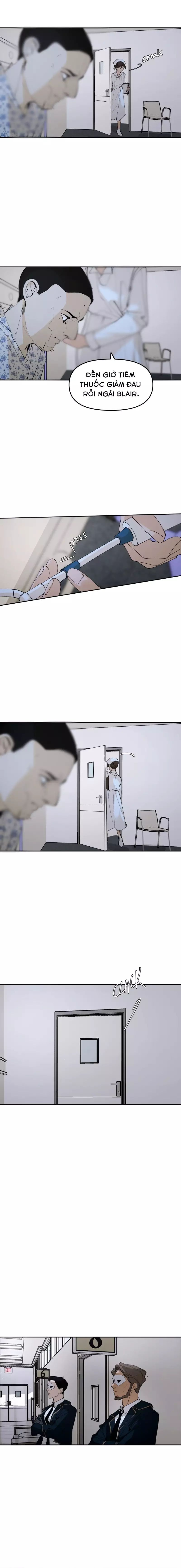 Hoa Lục Bình Tím - Chapter 146 - Page 5