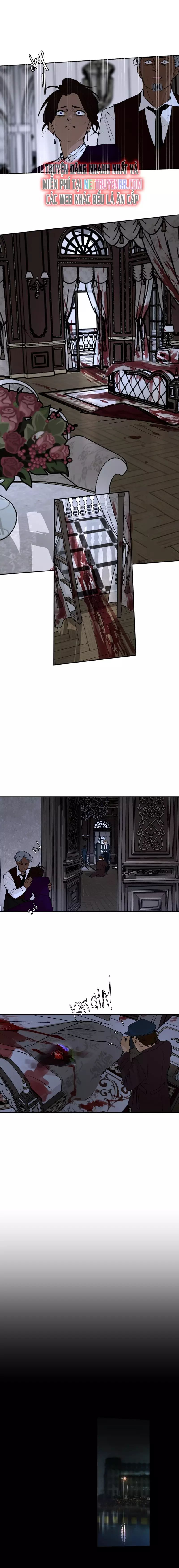 Hoa Lục Bình Tím - Chapter 151 - Page 4