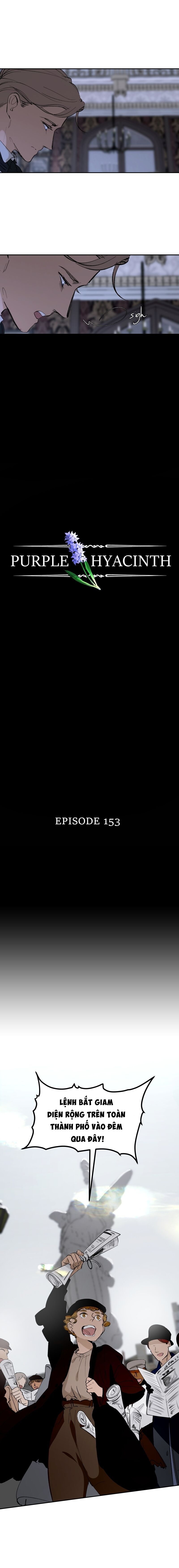 Hoa Lục Bình Tím - Chapter 153 - Page 3