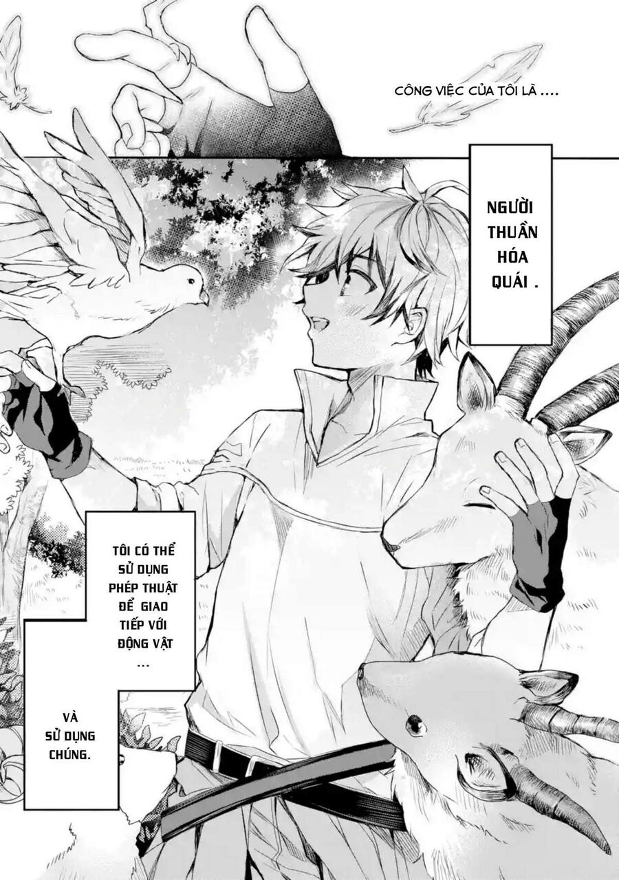 Luyện Thú Sư Sau Khi Bị Đuổi Khỏi Tổ Đội Của Dũng Sĩ, Gặp Được Thiếu Nữ Tai Mèo Của Chủng Tộc Mạnh Nhất - Chapter 1 - Page 3