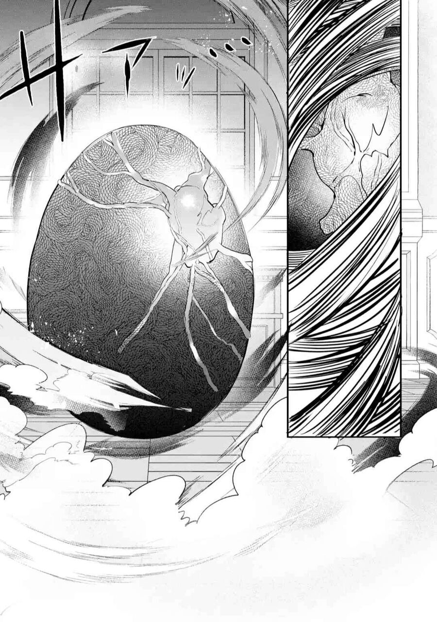 Luyện Thú Sư Sau Khi Bị Đuổi Khỏi Tổ Đội Của Dũng Sĩ, Gặp Được Thiếu Nữ Tai Mèo Của Chủng Tộc Mạnh Nhất - Chapter 61 - Page 17